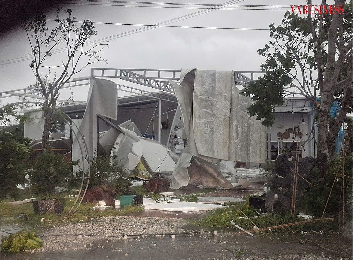 Tất cả hệ thống nhà kho, nhà làm việc của HTX Nam Việt tại các huyện Tiên Lãng, An Dương, An Lão đều bị ảnh hưởng nặng nề sau bão.