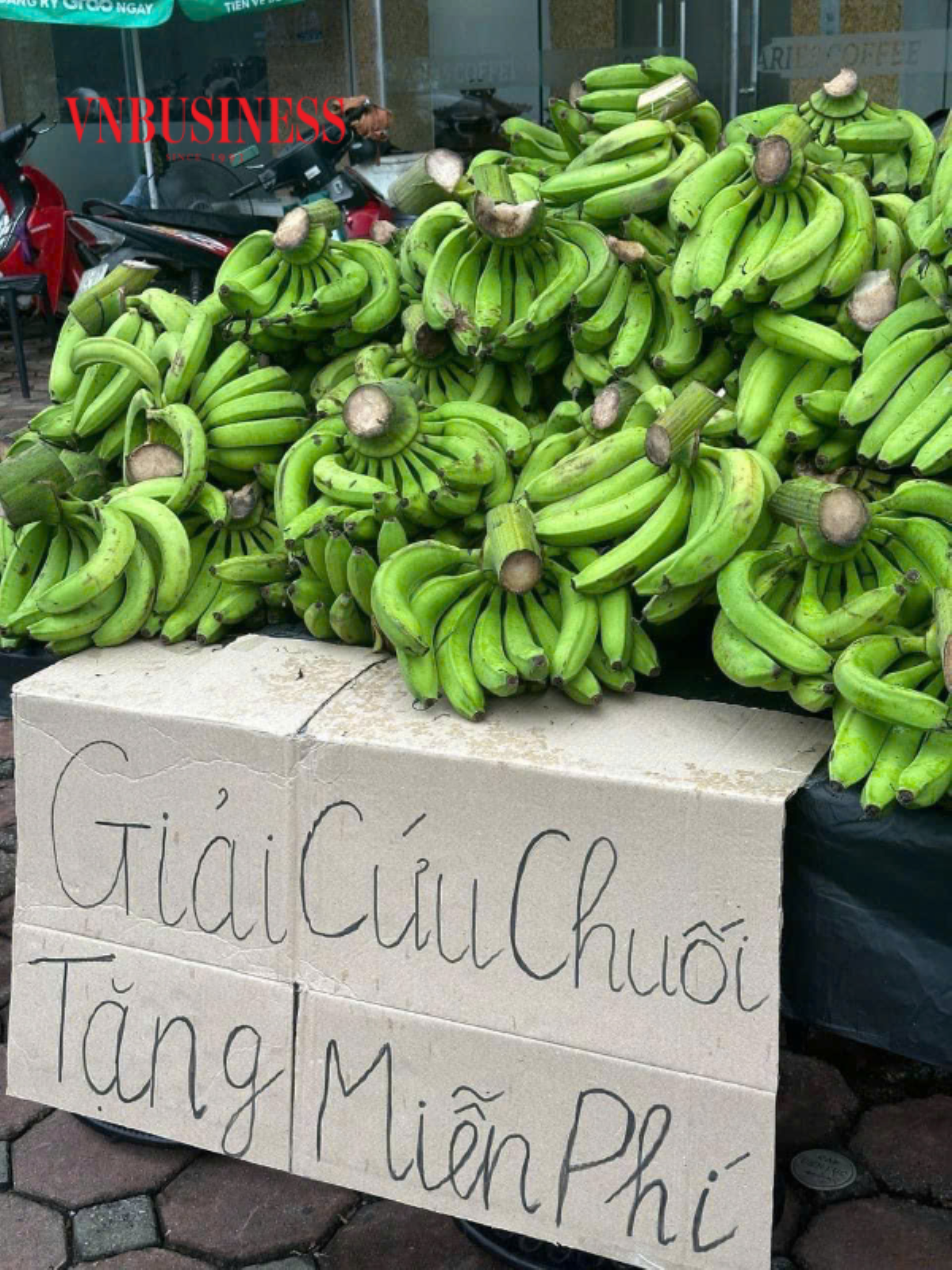 Nhiều điểm tặng rau củ quả cho người dân trong những ngày mưa bão.