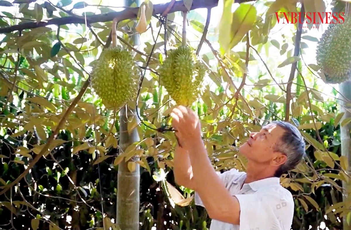 Nhờ tư duy mới, nhiều nông dân ở Đồng Nai có thu nhập cao, trở thành tỷ phú miệt vườn.