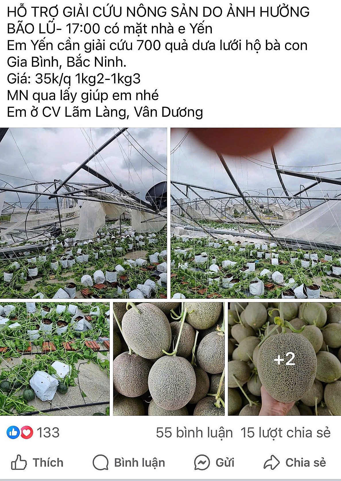 Các nền tảng mạng xã hội như Facebook, Zalo đã trở thành nơi để nông sản “giải cứu” được tiêu thụ.