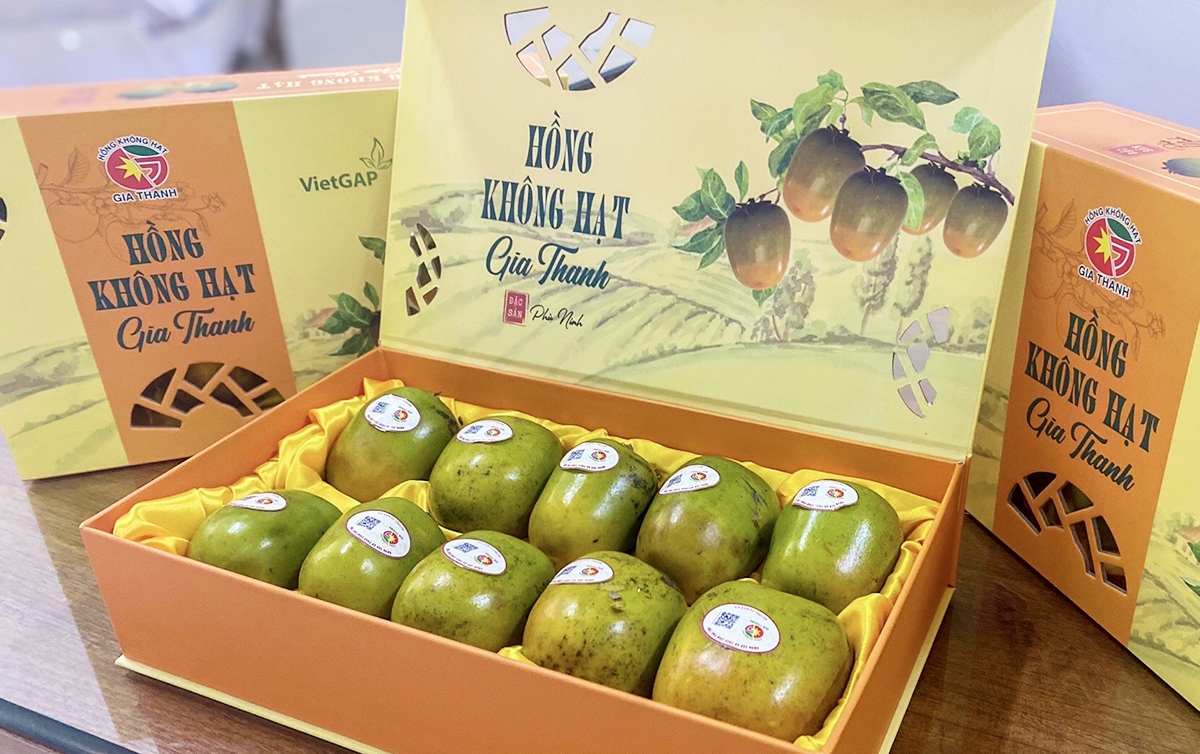 Hồng không hạt là thứ quả đặc biệt không thể thiếu trên mâm ngũ quả ngày Tết Trung thu của nhiều gia đình.