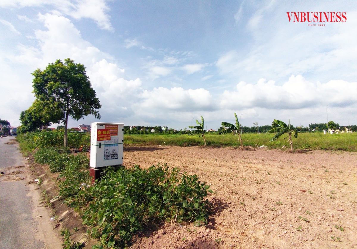 Nhiều nhóm đầu tư vẫn đang âm thầm săn đất vườn tiềm năng, với tầm nhìn 3-5 năm.