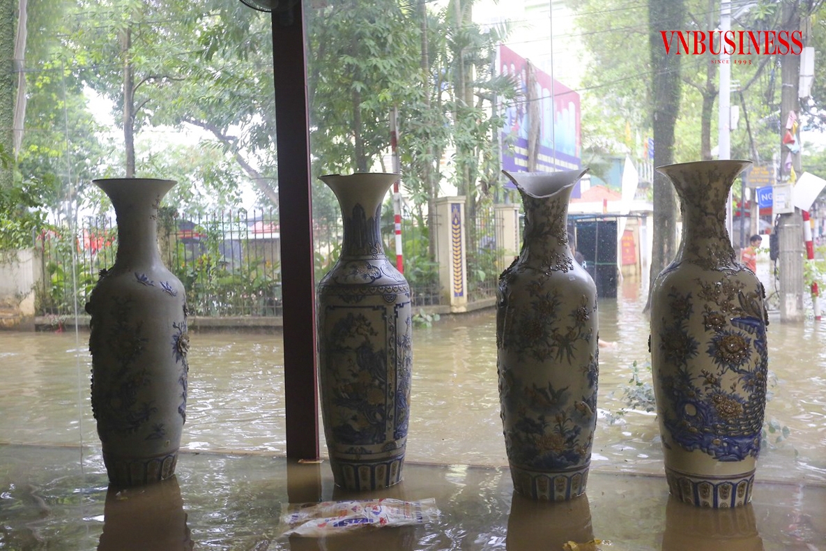 Những cặp lục bình có giá trị lên tới hàng trăm triệu đồng bị đổ vỡ.