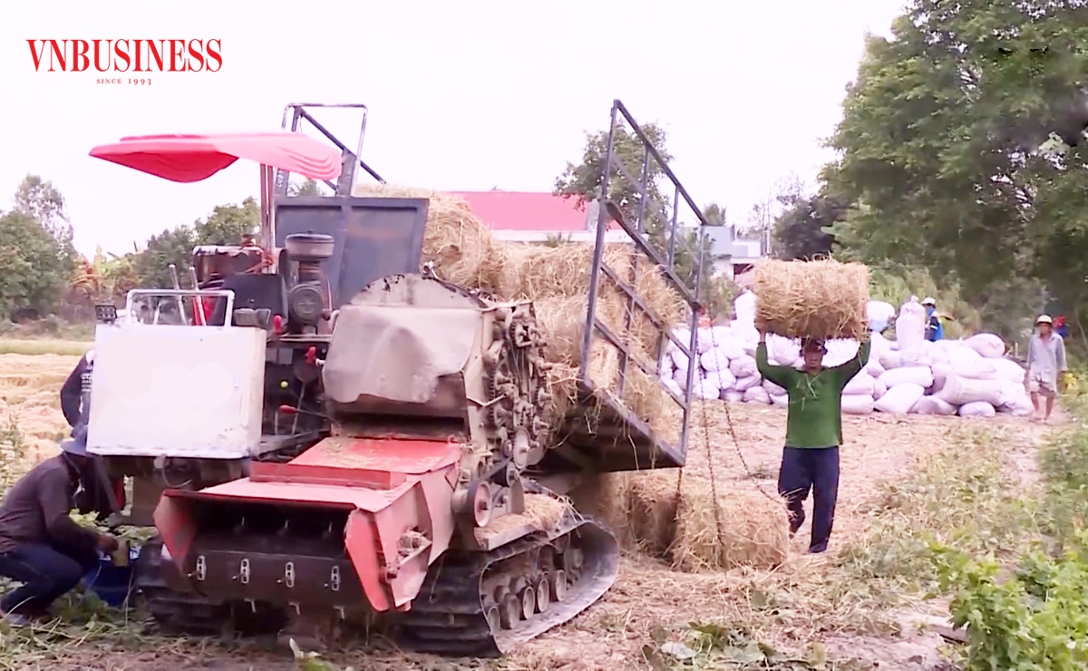 Đưa máy móc vào sản xuất giúp nông dân, HTX nâng cao giá trị rơm rạ.