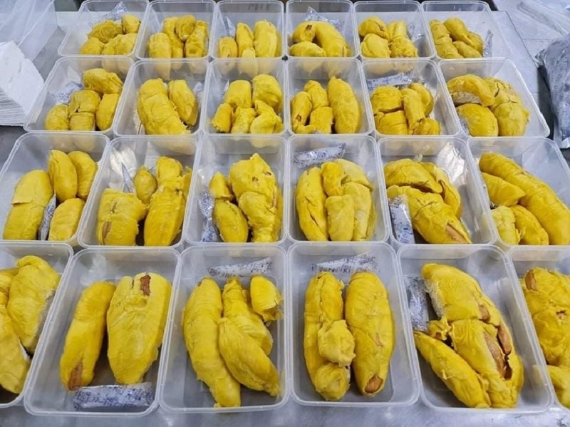 Theo dự báo của Vinafruit, năm 2024, xuất khẩu sầu riêng đông lạnh có thể đạt kim ngạch xuất khẩu 400-500 triệu USD.