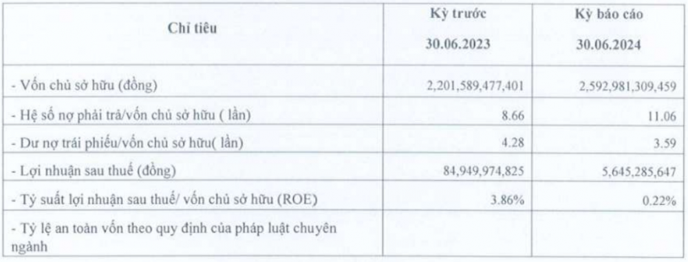 Các chỉ tiêu tài chính nửa đầu năm 2024 của TNR Holdings