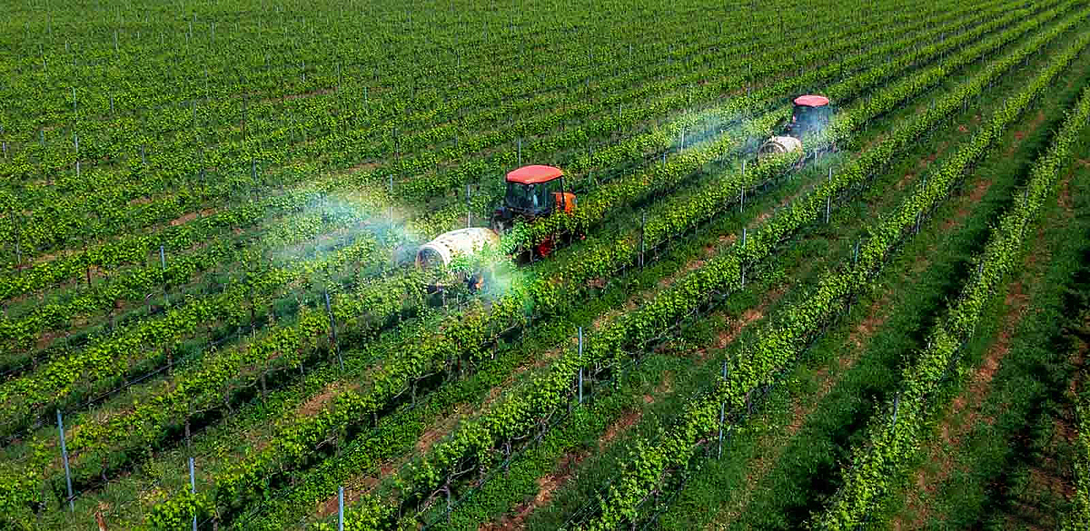 Tiếp cận nguồn vốn xanh là điều mong mỏi của nhiều HTX.