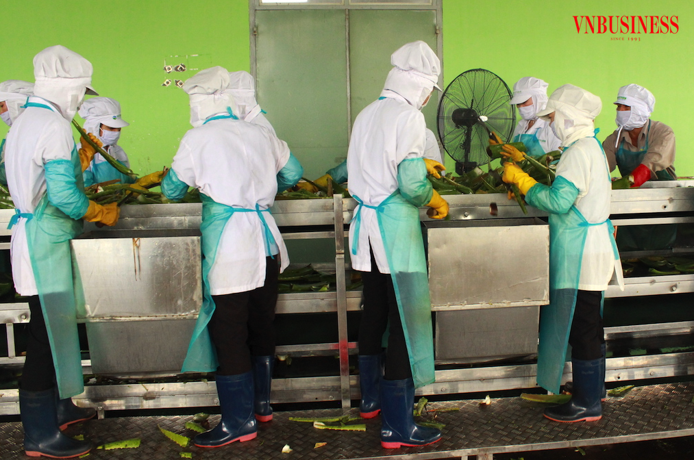 Việc đầu tư “xanh hóa” sản xuất của các DN cần tránh những rào cản khâu thủ tục và có thêm những chính sách ưu đãi rõ ràng hơn nữa.