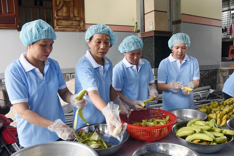 Đầu tư chế biến giúp phát triển chuỗi giá trị bền vững.