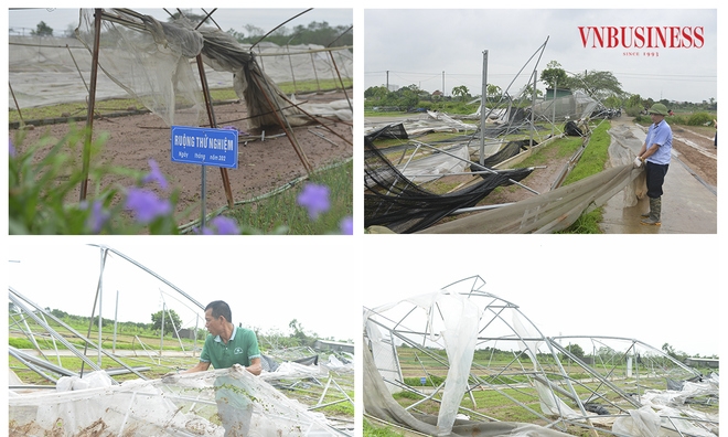Sau bão, nhiều tài sản có giá trị lớn của không ít HTX đã bị hư hỏng như nhà xưởng, nhà màng, trang trại, tàu thuyền, phương tiện giao thông, máy móc, trang thiết bị, hàng hóa…