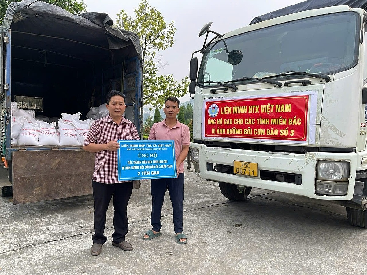 Đoàn hỗ trợ của Liên minh HTX tại Liên minh HTX tỉnh Lào Cai.