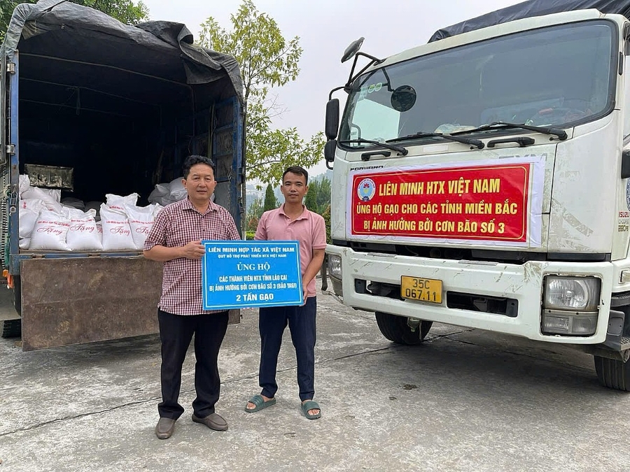 Đoàn hỗ trợ của Liên minh HTX tại Liên minh HTX tỉnh Lào Cai.