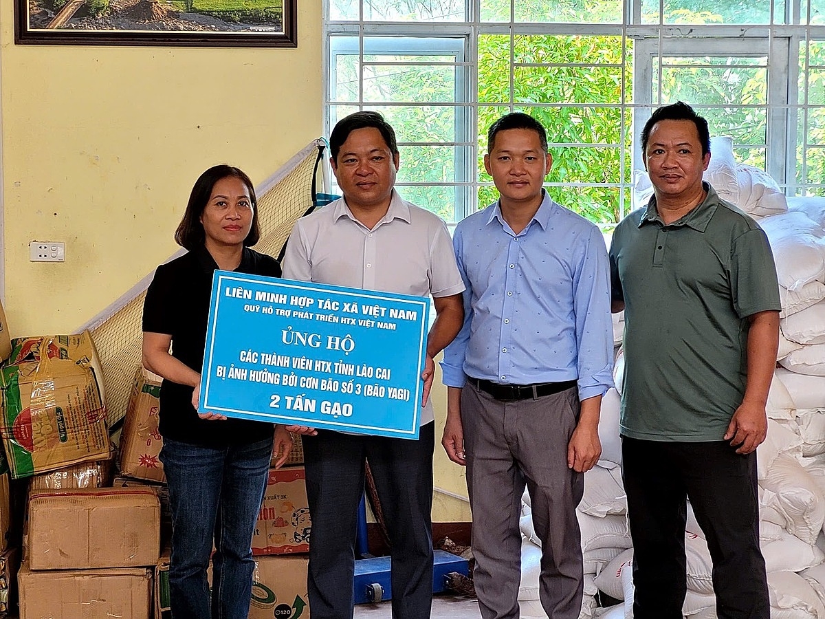 Liên minh HTX Việt Nam đã kêu gọi được 35 tấn gạo ở trong và ngoài hệ thống để hỗ trợ người dân, HTX, tổ hợp tác.