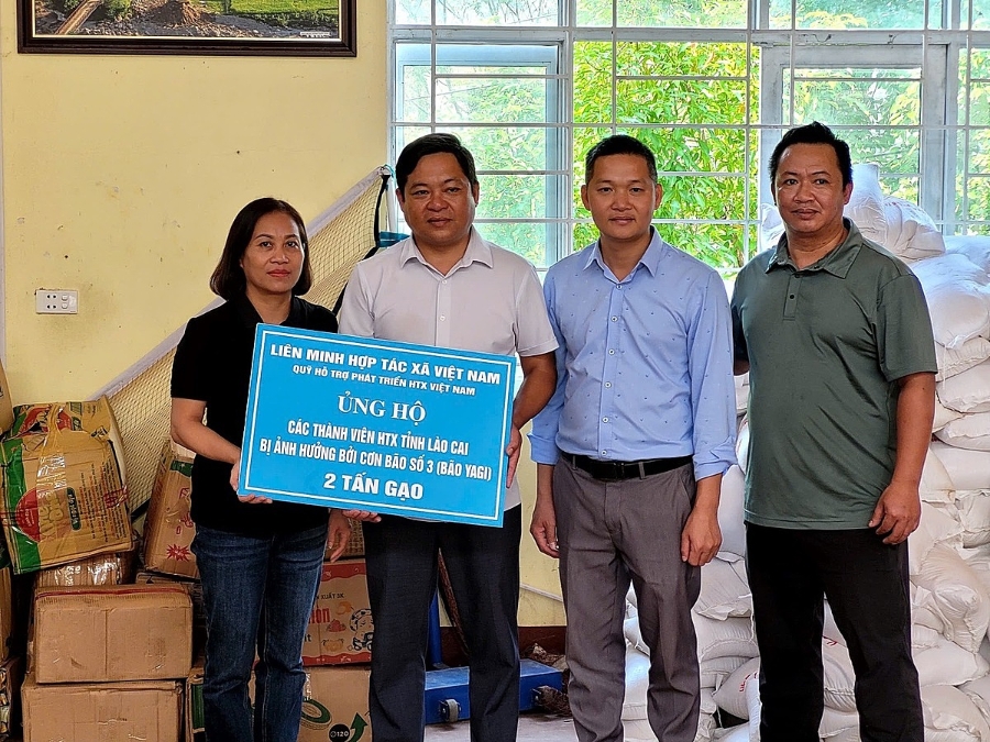 Liên minh HTX Việt Nam đã kêu gọi được 35 tấn gạo ở trong và ngoài hệ thống để hỗ trợ người dân, HTX, tổ hợp tác.