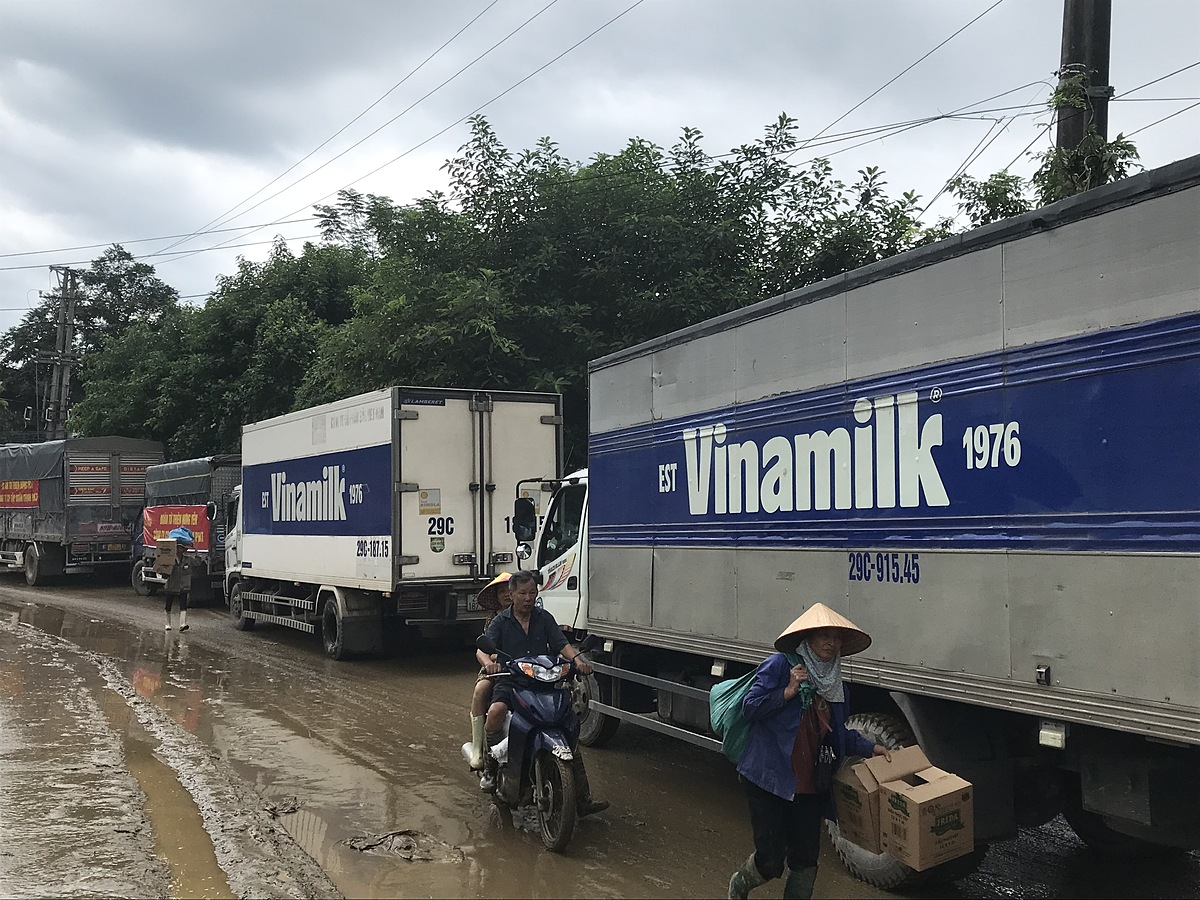 Chung tay cùng lời kêu gọi của Chính phủ và người dân cả nước, hơn 550.000 sản phẩm dinh dưỡng &lpar;trị giá tương đương gần 3 tỷ đồng&rpar; đã được Vinamilk hỗ trợ đến người dân tại 11 tỉnh, thành bị ảnh hưởng bởi bão lũ gồm: Hà Nội, Yên Bái, Thái Nguyên, Sơn La, Cao Bằng, Hưng Yên, Vĩnh Phúc, Tuyên Quang, Bắc Ninh, Ninh Bình, Lào Cai.