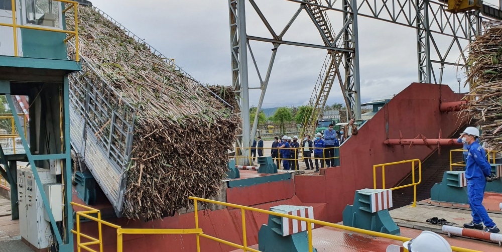 Sau nhiều năm đối mặt với thách thức từ đường nhập lậu và năng lực cạnh tranh yếu kém, ngành mía đường Việt Nam đang bắt đầu có những tín hiệu tích cực trong năm 2024.