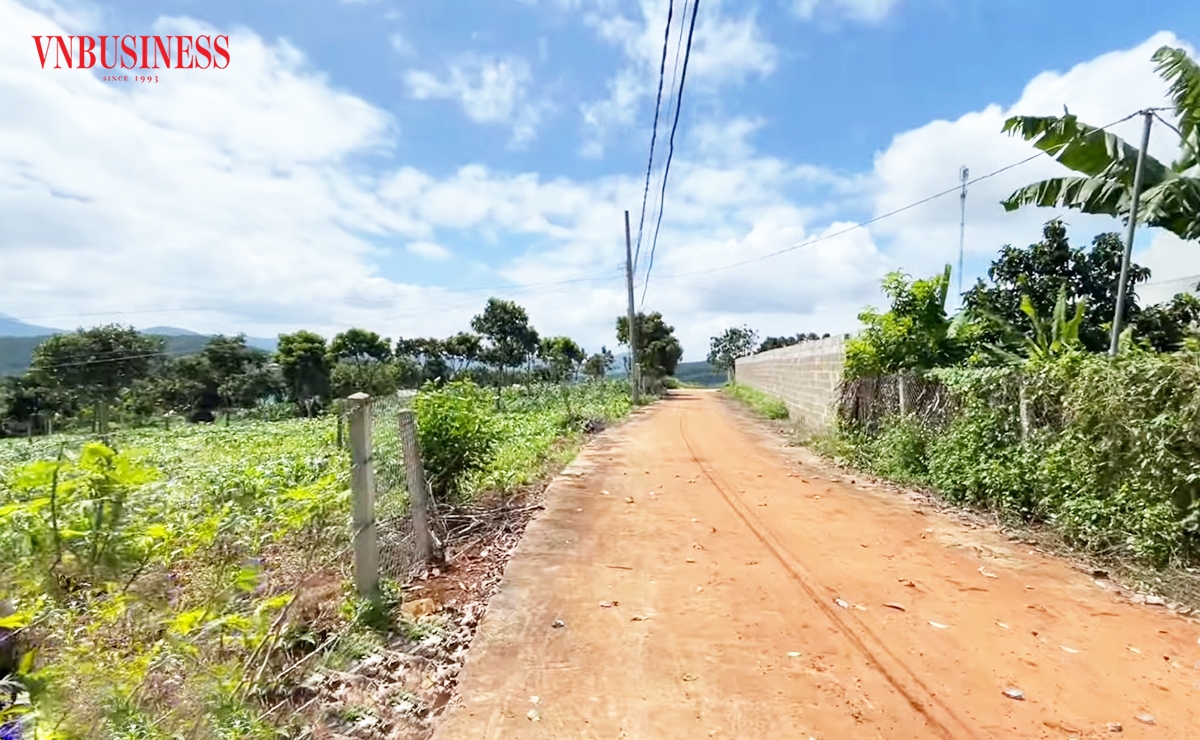 Thanh khoản đất nền ở Lâm Đồng chưa thể hồi phục mạnh như kỳ vọng, đẩy nhiều nhà đầu tư vào thế khó.