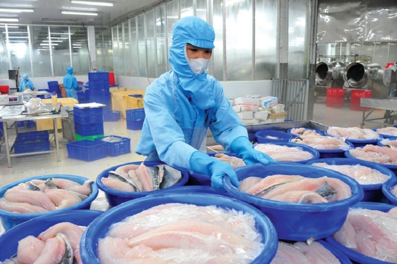 Xuất khẩu thủy sản trong quý 3 năm nay đạt 2,76 tỷ USD, tăng gần 13% so với cùng kỳ năm ngoái.