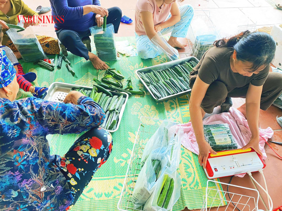 HTX quản lý chặt khâu sản xuất của từng cơ sở làm bánh; hỗ trợ tín chấp cho các hộ vay vốn ngân hàng đầu tư mua lò hấp bánh, máy hút chân không đóng gói sản phẩm,...