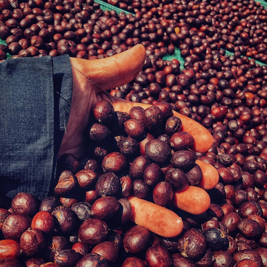 XK nhóm hàng nông, lâm, thủy sản 9 tháng qua đạt trên 46 tỉ USD, tăng 21%, trong đó mặt hàng cà phê, giá trị XK đạt 4,3 7 tỉ USD, tăng 39,6%.