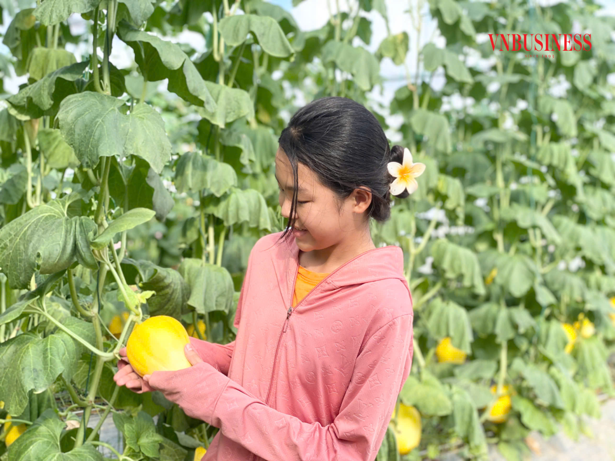 Các sản phẩm của HTX bán ra thị trường đều có đầy đủ thông tin về truy xuất nguồn gốc, mã số vùng trồng đảm bảo vệ sinh an toàn thực phẩm.