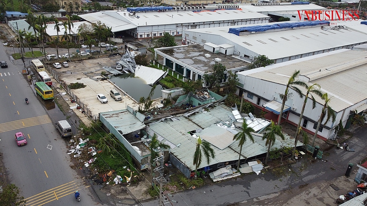 Ngay sau bão 1 ngày, các doanh nghiệp tập trung hàng trăm công nhân để khắc phục hậu quả sau bão.