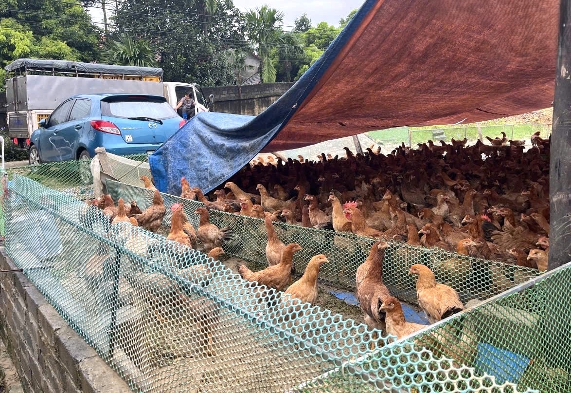 Các chương trình hỗ trợ khách hàng được triển khai kịp thời và nhanh chóng giúp giảm thiểu thiệt hại