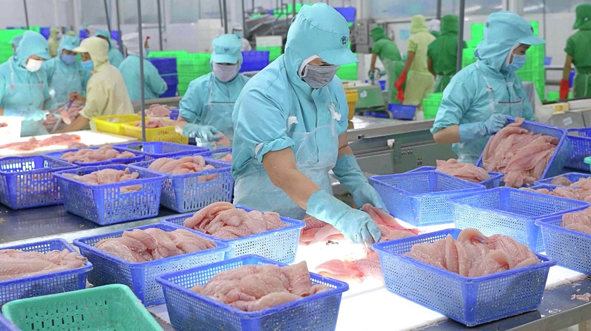 Các sản phẩm cá tra GTGT sẽ tiếp tục bứt phá, tăng trưởng mạnh mẽ ở các thị trường.