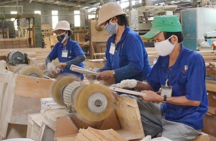 Gỗ Trường Thành tiếp tục bị HoSE nhắc nhở.