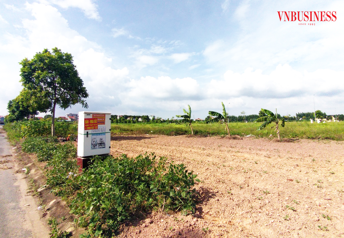 Nhiều nhà đầu tư gom đất nền lô to đang lâm vào thế khó vì chưa thể phân lô, chuyển đổi mục đích sử dụng.