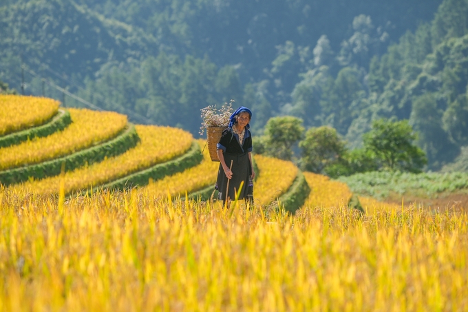 Mỗi vùng đất đều có những giá trị cốt lõi để khai thác, phát triển du lịch nông nghiệp.