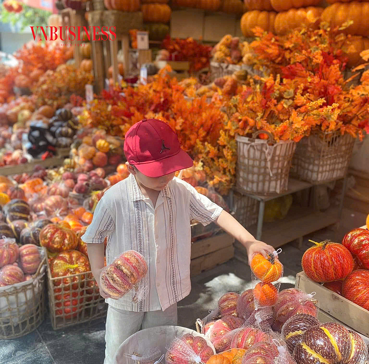 Các loại đồ chơi ma mị, đồ trang trí quái dị trở nên hút khách đặc biệt là các em nhỏ.