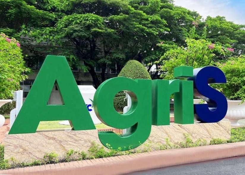 Vừa rời 'ghế nóng', bà Huỳnh Bích Ngọc muốn trở lại HĐQT TTC AgriS.