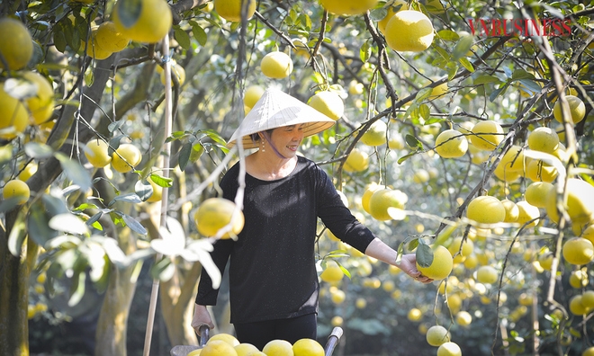 Chương trình 08-CTr/TU của Hà Nội đang hoàn thành ấn tượng các chỉ tiêu về an sinh xã hội, việc làm.