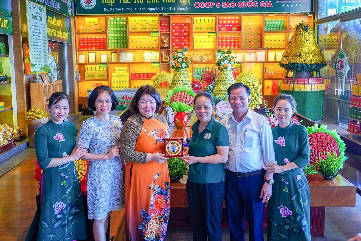 Liên minh HTX Việt Nam khảo sát tại HTX chè Hảo Đạt.