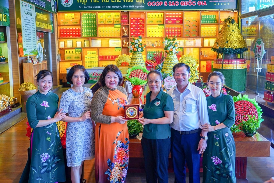 Liên minh HTX Việt Nam khảo sát tại HTX chè Hảo Đạt.