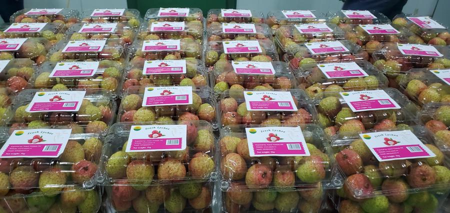 Nhiều doanh nghiệp xuất khẩu trái cây tự tin về tốc độ tăng trưởng, năm sau đều tăng gần như gấp đôi năm trước.