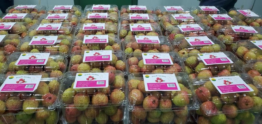 Nhiều doanh nghiệp xuất khẩu trái cây tự tin về tốc độ tăng trưởng, năm sau đều tăng gần như gấp đôi năm trước.