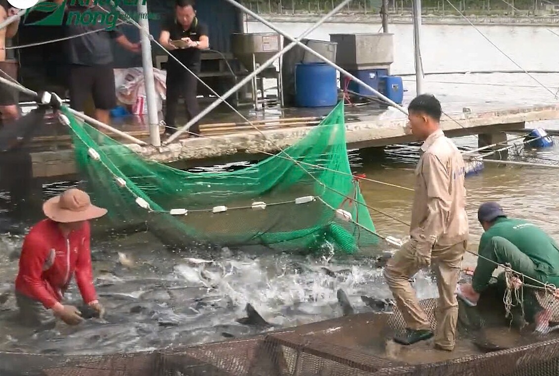 Nuôi trồng thủy sản trở thành nghề truyền thống của xã Lập Lễ.