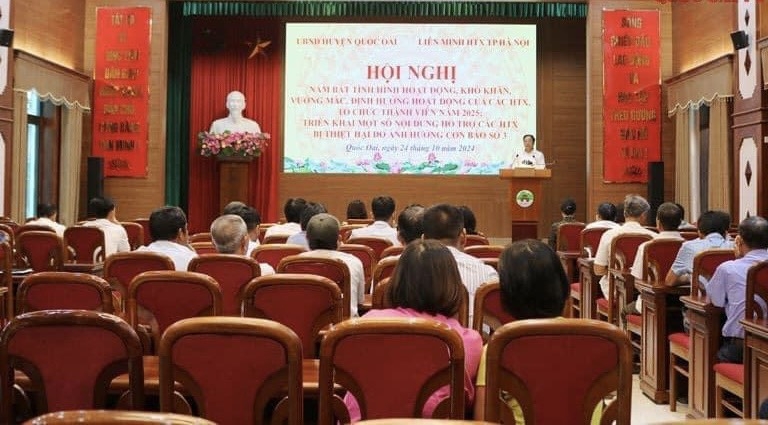 HTX trên địa bàn huyện Quốc Oai vẫn gặp khó khăn trong sản xuất kinh doanh, tiếp cận thị trường.