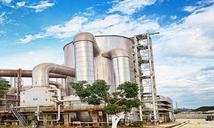 Lãi ‘đi lùi’, Hóa chất Đức Giang dựa vào đâu để chi nghìn tỷ tạm ứng cổ tức?