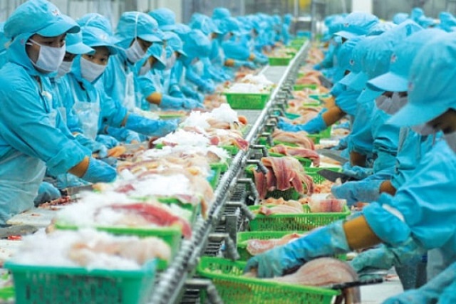 9 tháng đầu năm, tình hình xuất khẩu thủy sản có những chuyển biến tích cực.