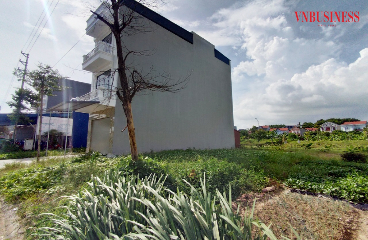 Nhà đầu tư sở hữu đất thổ cư, đất phân lô đã đủ pháp lý kỳ vọng giá đất nhảy múa theo bảng giá đất mới và quy định siết phân lô bán nền &lpar;Ảnh minh họa: NM&rpar;.