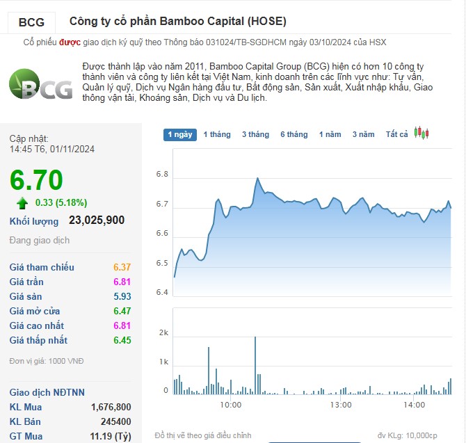 Thanh khoản cổ phiếu BCG tăng vọt trong phiên 1/11.