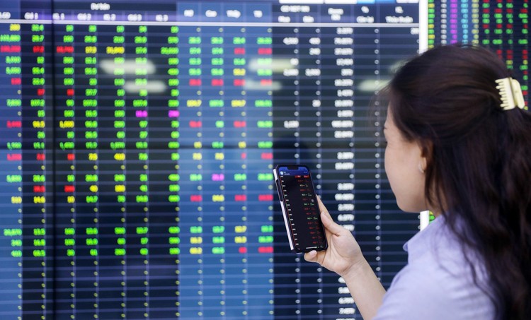 Số lượng tài khoản của nhà đầu tư trong nước trong tháng 10/2024 giảm nhẹ so với tháng trước.