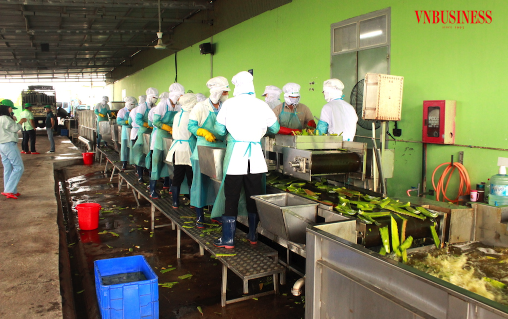 Việc áp dụng bảng giá đất mới dẫn tới tăng giá thuê đất đột ngột vào thời điểm này được ví như “khó khăn mới”, làm tăng thêm gánh nặng cho các DN trong sản xuất kinh doanh.