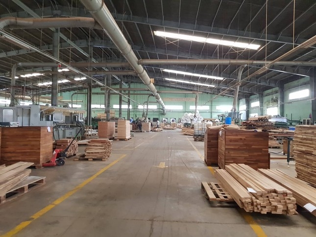 Vốn hóa thị trường của Gỗ Trường Thành chỉ còn khoảng 1.200 tỷ.