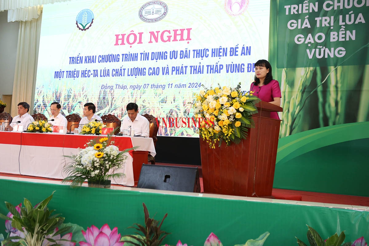 Phó Tổng Giám đốc Agribank Phùng Thị Bình hướng dẫn việc triển khai cấp vốn tín dụng ưu đãi đến các đối tượng tham gia Đề án.