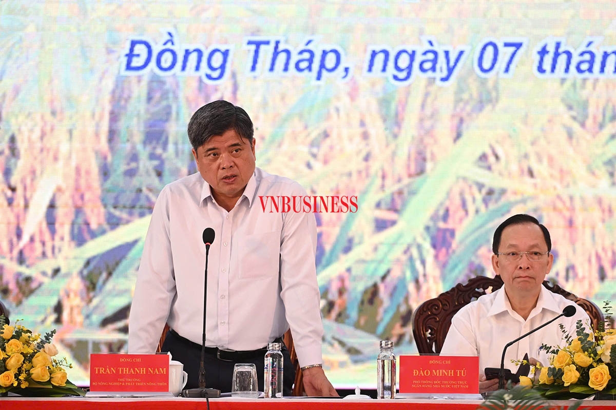 Thứ trưởng Trần Thanh Nam cho rằng, người dân, HTX và doanh nghiệp hiện chỉ mới ký kết các hợp đồng mua bán đơn giản, điều này dẫn đến tình trạng không thực hiện đúng cam kết.