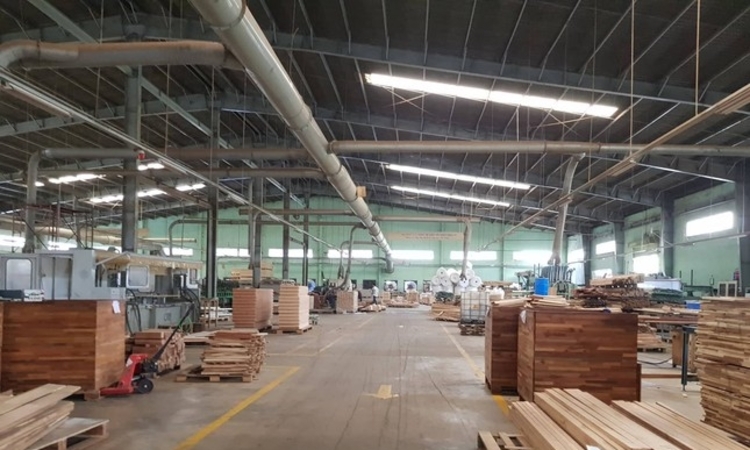 Tranh thủ cổ phiếu TTF giảm gần 39%, CEO Gỗ Trường Thành gom hàng